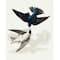 16" x 20" Swallows Paint-by-Number Kit by Artist's Loft®